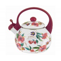 Чайник со свистком эмалированный Гибискус ТМ Appetite FT7-GI 2,0л