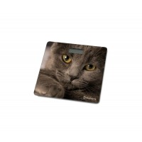 Весы напольные электронные Sakura SA-5065CT Кошка