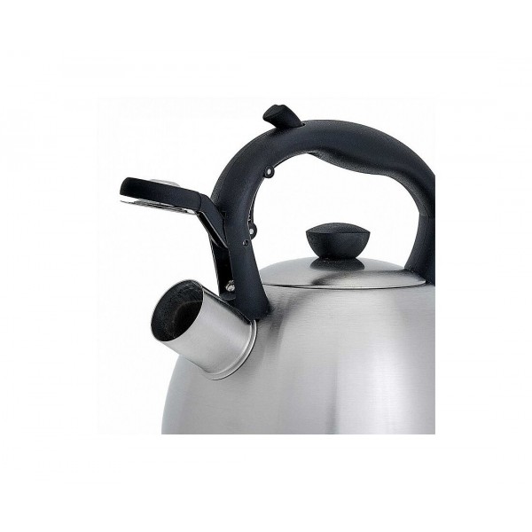 Чайник со свистком WEBBER BE-0578 2 л