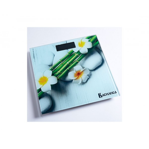 Весы напольные Василиса ВА-4012 Спа